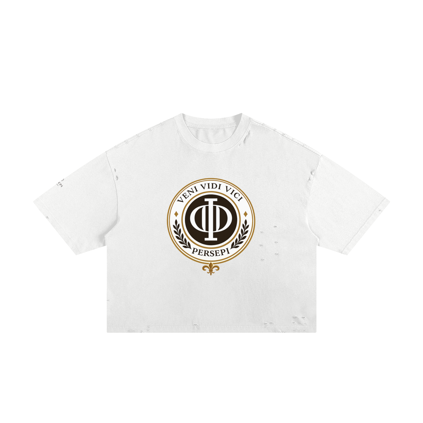 Classic Frayed Boxy Tee