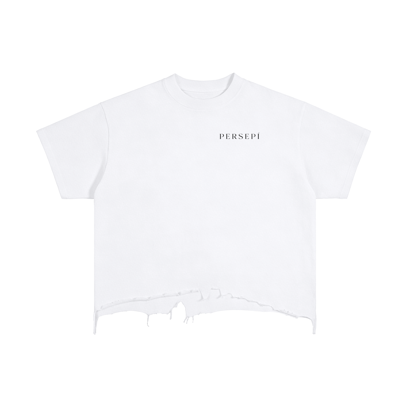 Vintage Wash Boxy Distressed Hem T-Shirt